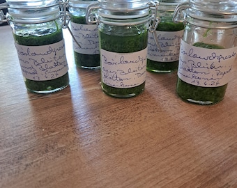 Wild garlic pesto with wild garlic flowers and pine nuts at a sample price