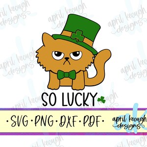 Op de afbeelding: Een digitale illustratie van een knorrige oranje kat die een groene leprechaun-hoed draagt met een klavertje vier erop en een groene strik. De kat zit met gekruiste poten en eronder staat de tekst "SO LUCKY". De afbeelding is voor een digitale download van SVG-, PNG-, DXF- en PDF-bestanden.