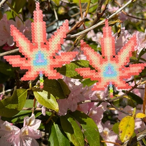 Könnte beinhalten: Ein Paar rosa und weiße Perlenohrringe in Form eines Marihuana-Blattes mit einem regenbogenfarbenen Zentrum.