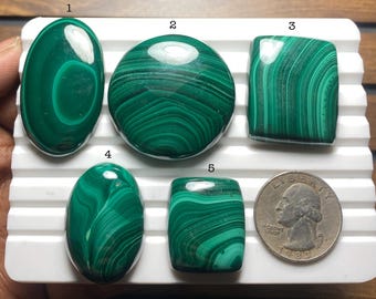 Puede incluir: Cinco cabujones de malaquita pulida con patrones de bandas verdes distintivos, numerados del 1 al 5, dispuestos en una bandeja blanca ranurada junto a una moneda de quarter estadounidense para escala. Las piedras son ovaladas, redondas y rectangulares.