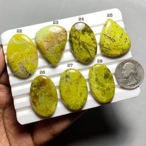 May include: A collection of seven polished, oval and teardrop-shaped gemstones in shades of yellow and green. The gemstones are displayed on a white tray, with a quarter coin for size comparison. The stones have unique patterns and textures.