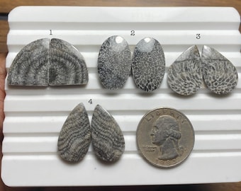 Par de cabujones de coral fósil negro natural para la elaboración de pendientes.