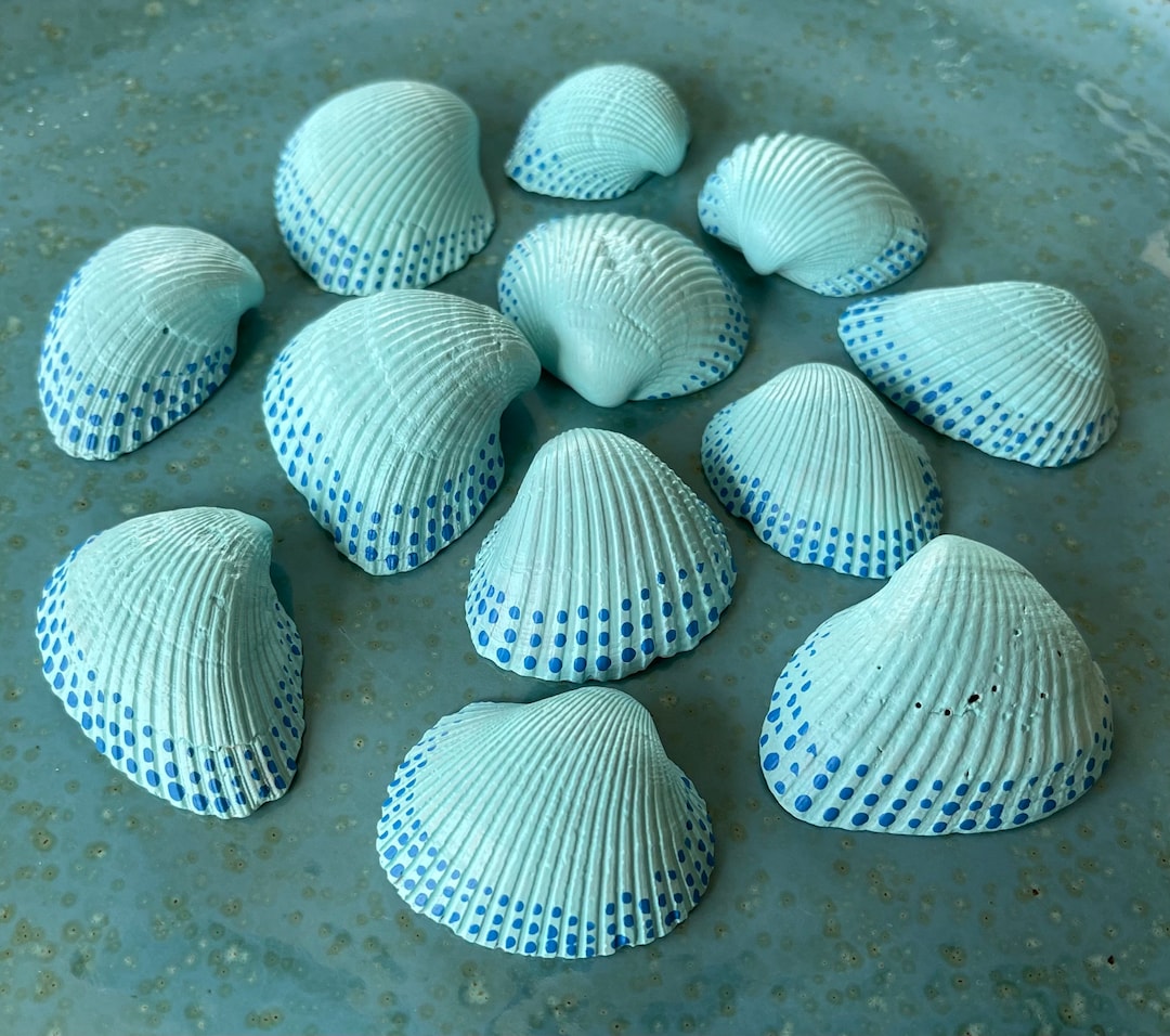 Hand Painted Shells From Carolina Beach | Beach House Nautical Decor - Etsy