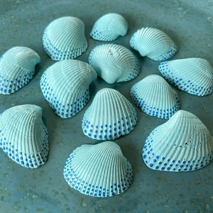 May include: A collection of painted seashells in a light blue hue, adorned with a pattern of small blue dots along the edges. The shells are arranged on a matching blue surface, creating a cohesive and decorative display.