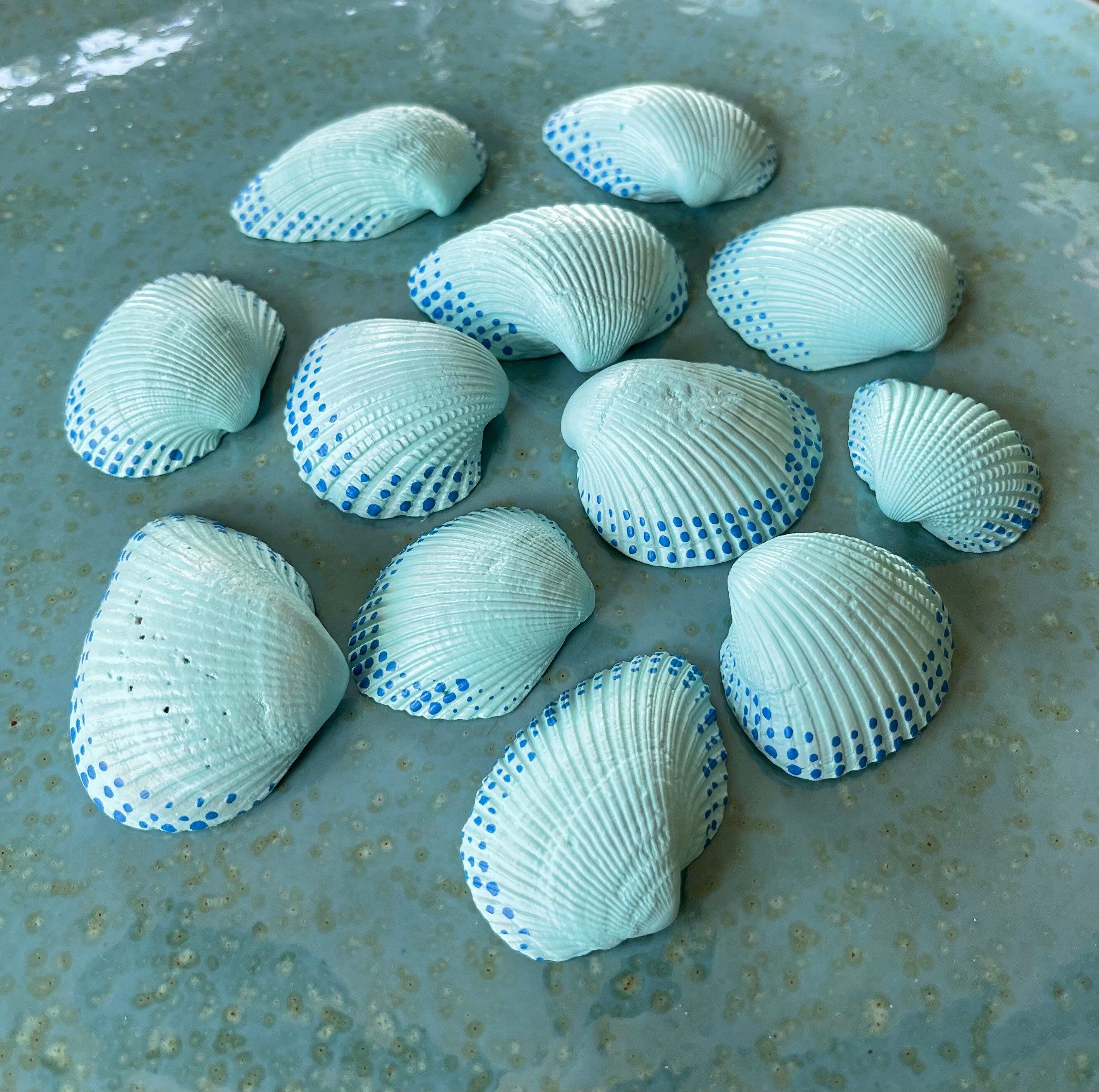 Hand Painted Shells From Carolina Beach | Beach House Nautical Decor - Etsy