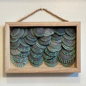 Butterfly Wings Seashell Shadow Box: Carolina Beach Decor - Etsy