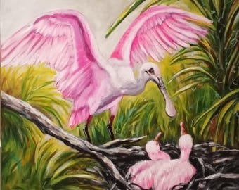 Roseate Spoonbill with Chicks 20 by 16