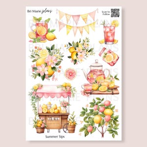 May include: A sticker sheet titled Summer Sips by Bri Marie plans featuring watercolor illustrations of lemonade stands, citrus fruits, pink flowers, bunting flags, a teapot, and glasses of pink drinks. Includes a QR code for scanning.