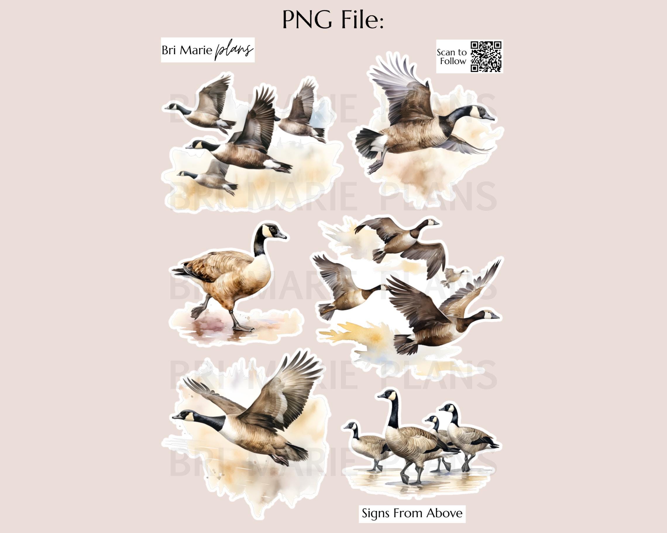 Signs From Above Sticker Sheet | Watercolor Goose Planner Stickers ...