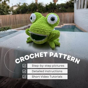 Patrón de bolso de rana de ganchillo con cremallera, lindo bolso amigurumi en PDF, bolso de tiza kawaii, peluche de rana, bolso estético, regalo para niños
