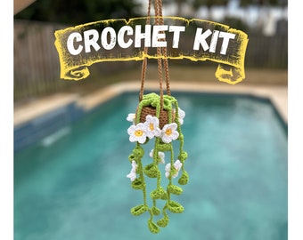 DIY Crochet Kit: Beginner Friendly Hanging Plant with Daisy Flowers Pattern for Housewarming and Home Wall Boho Decor Handmade Gift Idea