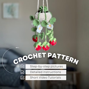 Crochet Hanging Strawberry Plant Pattern, Cute Office and Home Decor Digital Download PDF Wall Art Desk DIY accessories Handmade Floral Gift