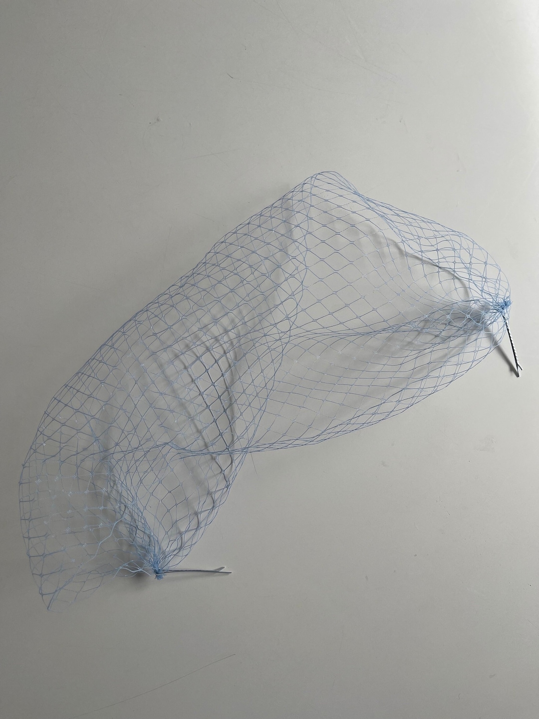 Blue Birdcage Veil main image 0