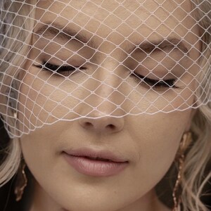 Pink Birdcage Veil Voilette Mariée Pink Veil French Netting Veil Blush Pink Fascinator Bird Cage Veil Pink Mini Veil Bridal Pink Headband