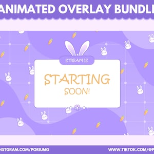 Animated Cute Bunny Twitch Overlays | Twitch Screens | Starting Soon | Be Right Back | Vtuber | Vtuber Overlay | Kawaii | Purple Pink Cozy