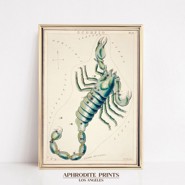 Vintage Zodiac Art, Astrology Wall Art, PRINTABLE Wall Art, Digital Art Printable, Light Academia Decor, Scorpio Art, Scorpio Gifts