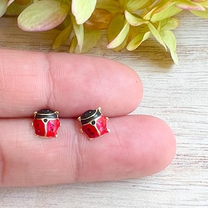 cute stud ladybug earrings 14k solid gold hypoallergenic
