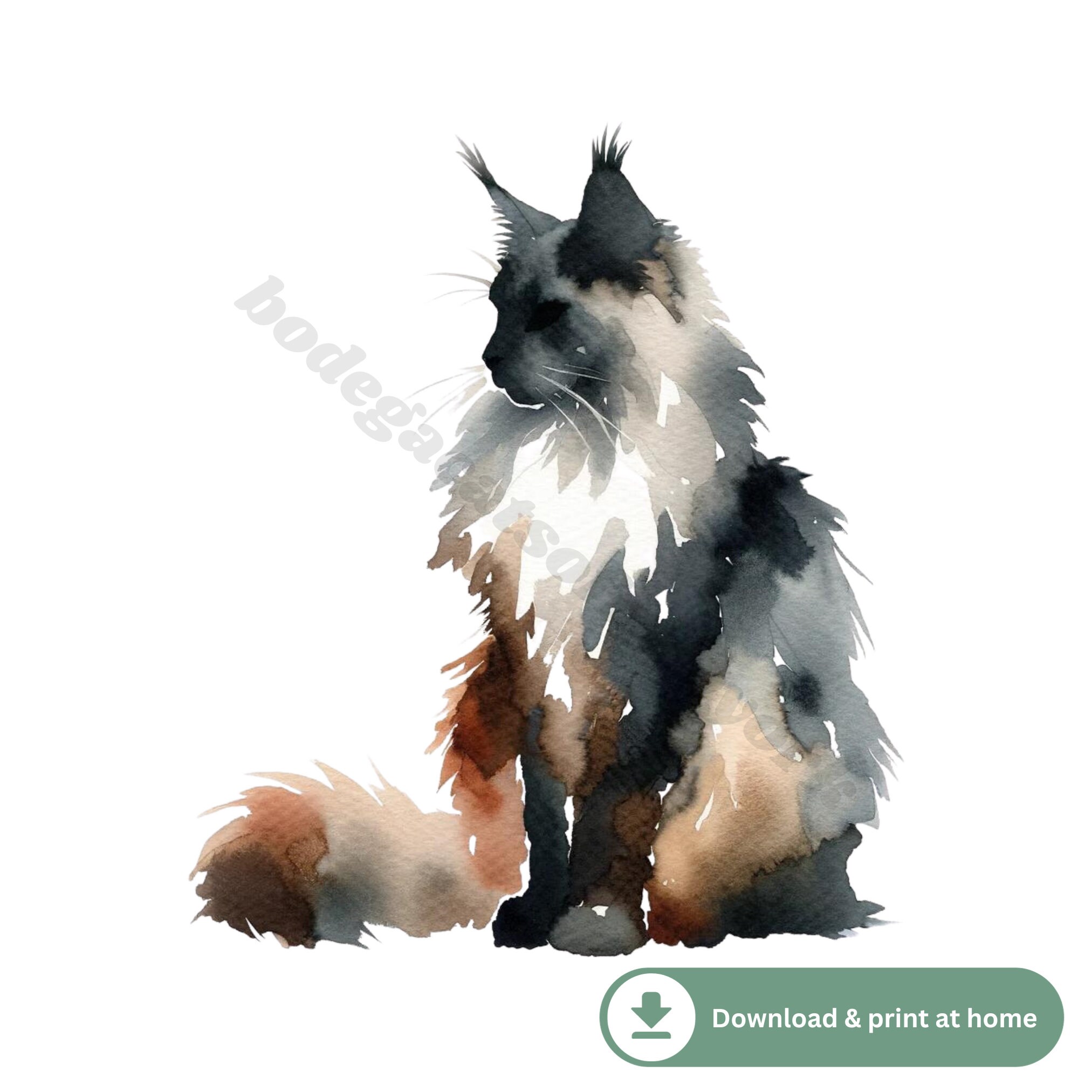 Maine Coon Watercolor Print | Printable Cat Wall Art | Elegant Cat ...