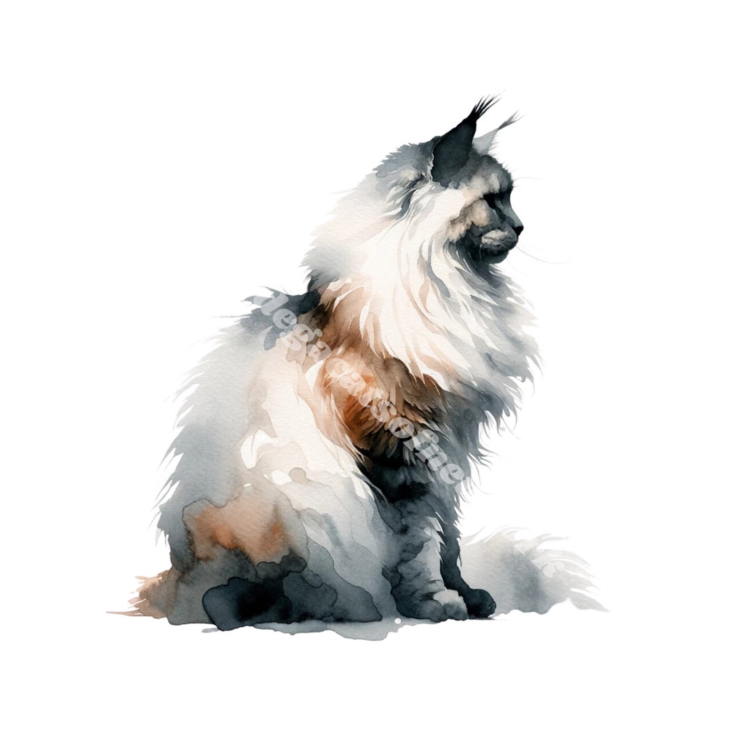Maine Coon Watercolor Print | Elegant Cat Wall Art | Cat Lover Gift - Etsy