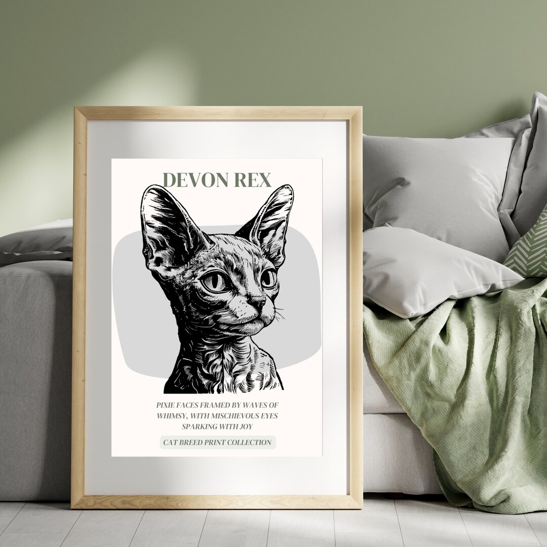 DIGITAL DOWNLOAD | Devon Rex Cat Art, Download & Print Art, Cat Art ...