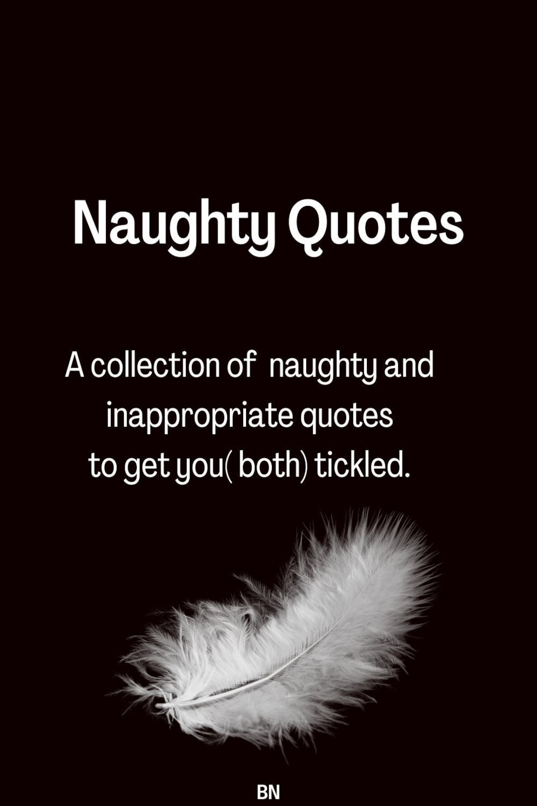 Naughty Quotes Ebook. Fun Quotes. Naughty Gift for Him. Bedroom Quotes