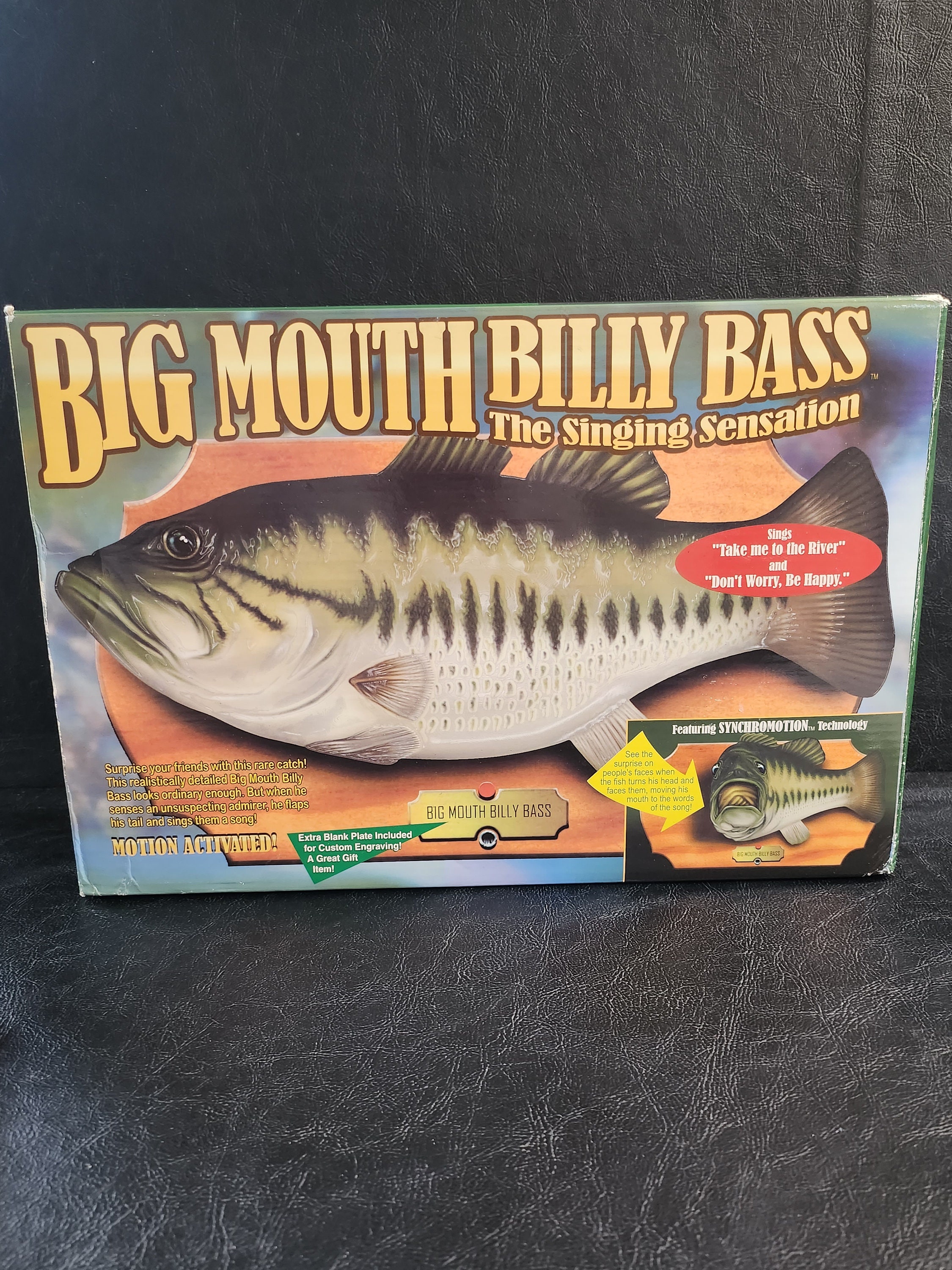 Big Mouth Singing
