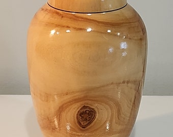 Original 6.5" Glossy Aspen Wood Art Vase Signed