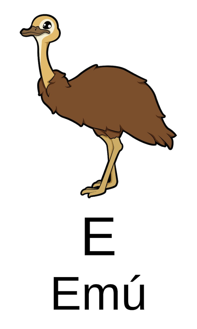 Alphabet Flashcards in Spanish Printable Flashcards in Etsy