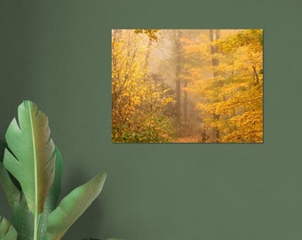 Stunning Autumn Forest in the Fog | Wall art