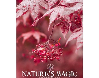 Nature's Magic Wall Calendar