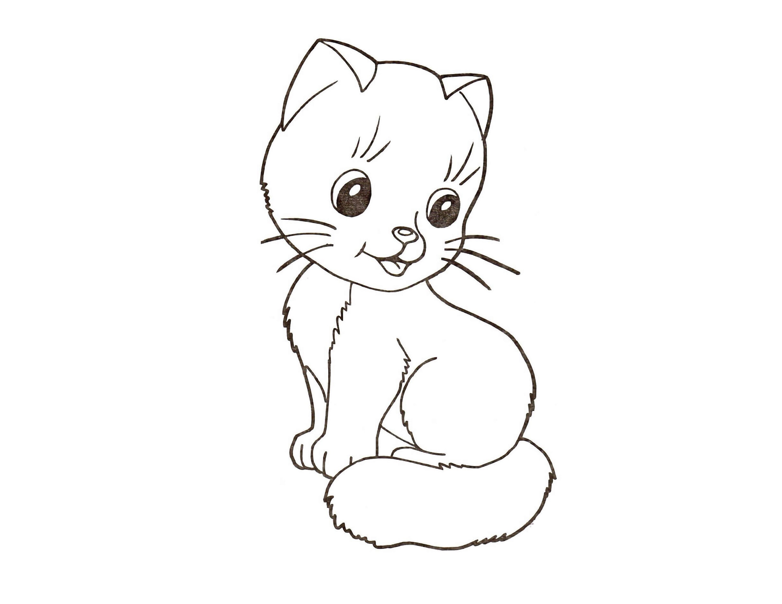 Happy Birthday Animal Coloring Book Etsy