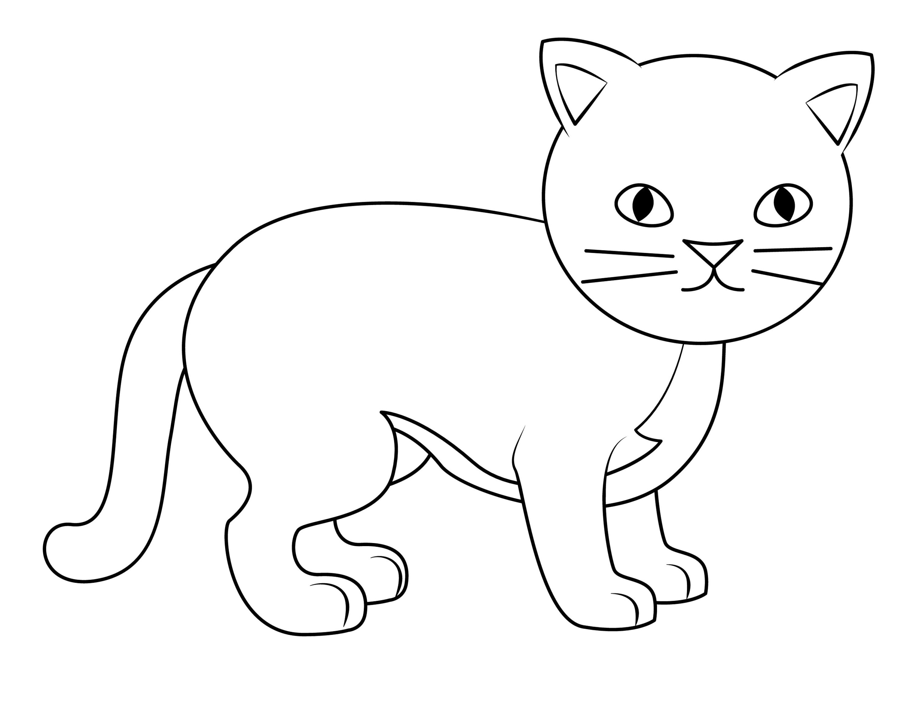 Happy Birthday Animal Coloring Book Etsy