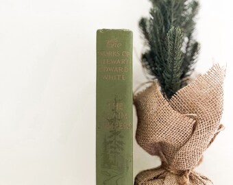 S. E. White 1913 - Decorative Books - Home Decor - Antique Books - Rare Books - Collectible - Gifts for Him - Gifts for Her - Bookish