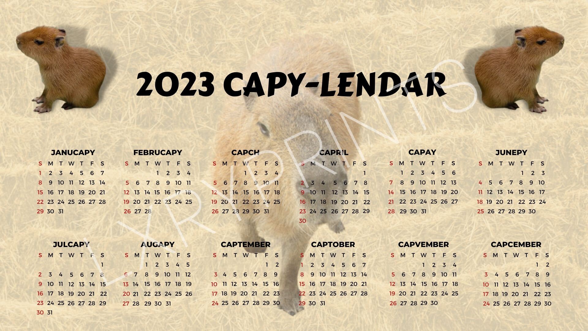 Capybara 1 Page Calendar Print Etsy
