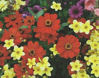The Flowers 13x19 or 19x13 Digital Print Taken on a Canon AE-1 Film Camera in Denmark, Digitally Printed onto a Premium Luster Photo Paper