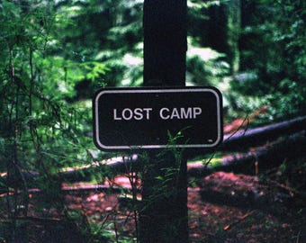 Lost Camp 17x11 Digital Print of a Film Photo Take while Hiking in the Redwood Forest in California, The photo was Taken on a Canon AE-1