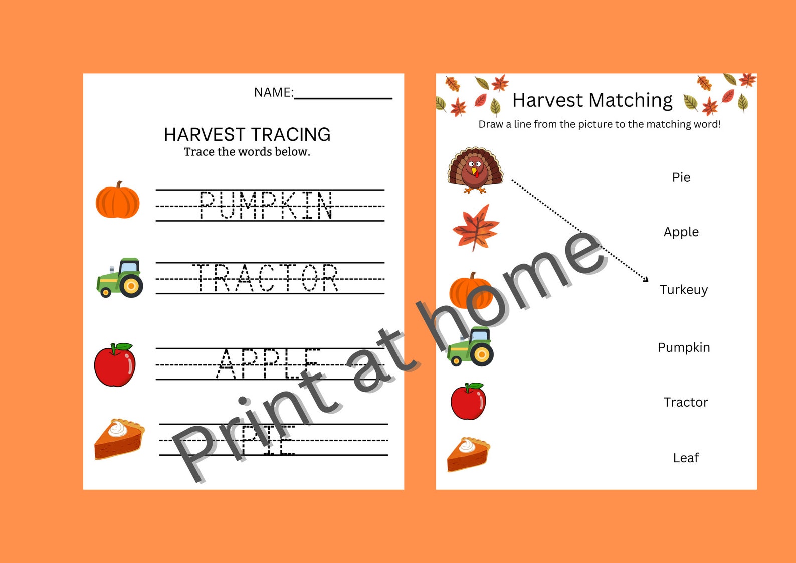 20 Digital Fall / Harvest Themed Worksheets, Elementary Worksheets