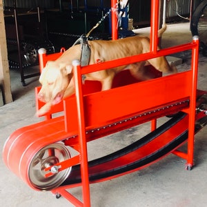 Dog treadmill for sale 2025