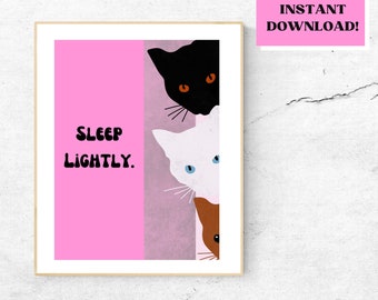 Dormir ligeramente gato cartel 18x24in - imprimible