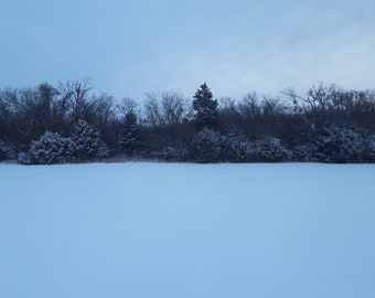 Winter Landscape -- Tree Line --Digital Print