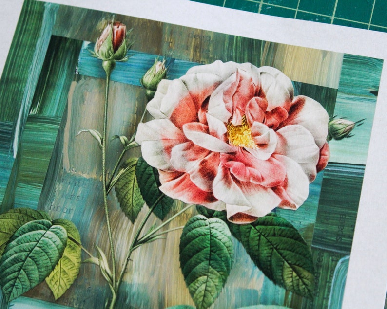 Pink Rose Collage Art Print: Vintage Floral Giclée (6x6) - Etsy