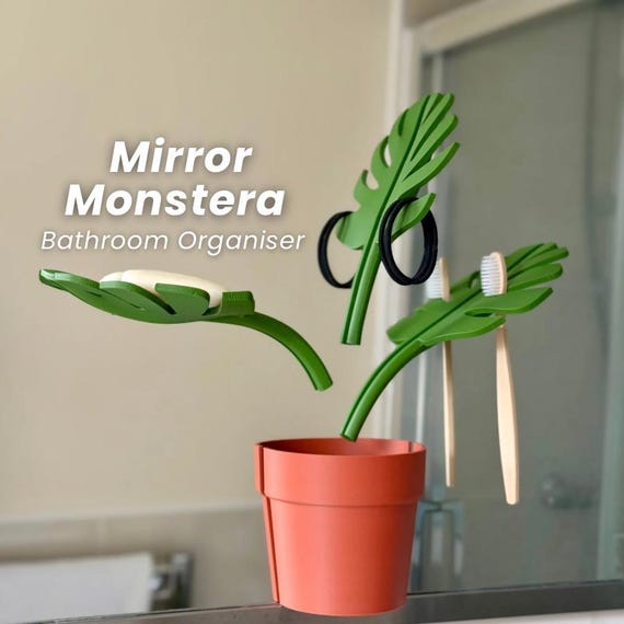 rhaphidophora tetrasperma mini monstera Mini Monstera – Plant Detectives