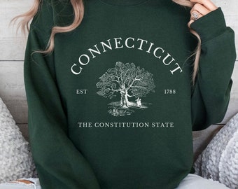 Connecticut Sweatshirt, Connecticut Pullover, Connecticut Shirt, Connecticut Gift, Connecticut Pullover, The Constitution State