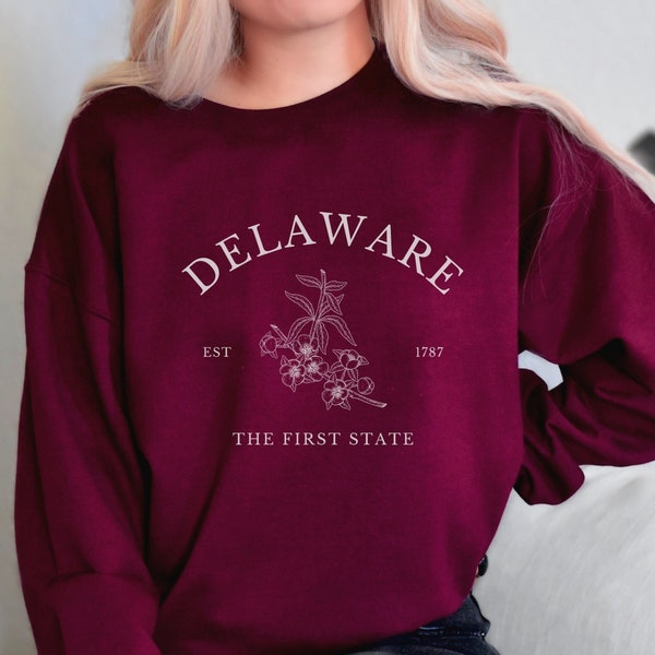 Delaware Sweatshirt, Delaware Crewneck, Delaware Gift, Delaware Pullover, Delaware Souvenir, Travel Sweater, The First State