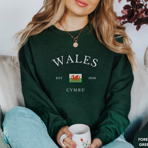 Wales Sweatshirt, Welsh Sweatshirt, Wales Gift, Welsh Flag Gift, Travel Sweatshirt, Comfortable Unisex Pullover