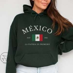 Mexico Hoodie, Mexico Hooded Sweatshirt, Mexico Gift, Mexican Flag, Travel Sweatshirt, Comfortable Unisex Clothing