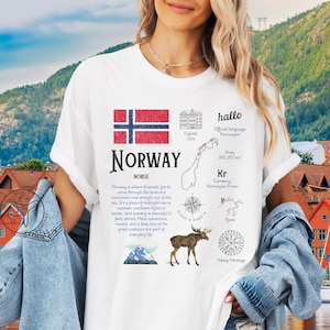 Norway Shirt, Scandinavia TShirt, Oslo Norway Shirt, Norwegian Tee, Norwegian Flag Gift, Norway Souvenir, Vintage Aesthetic