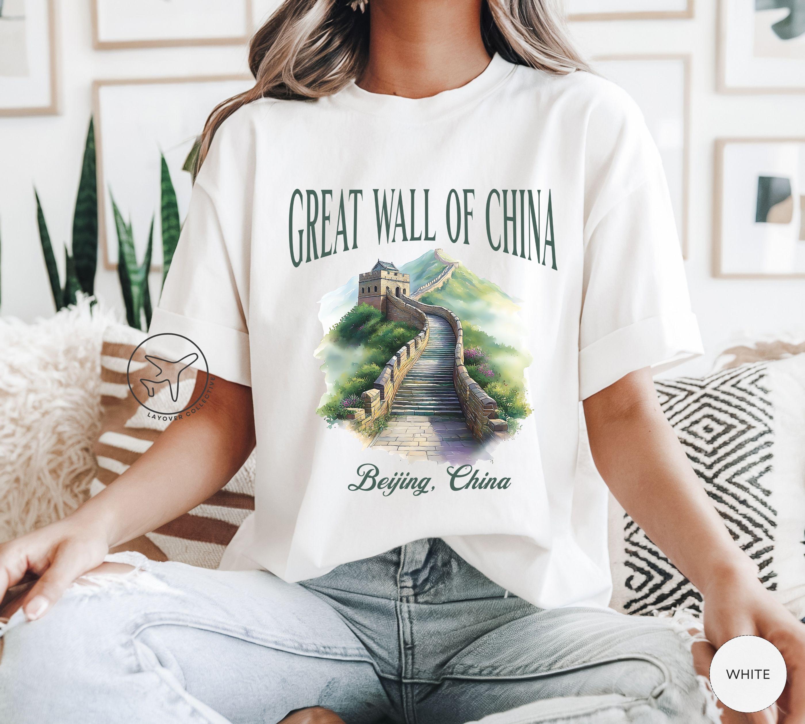 中国長城　the great china wall バンドTシャツvintage 中国長城 the great china wall バンドTシャツvintage メンズ
