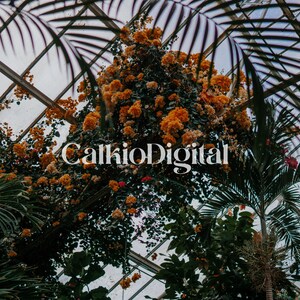 Dreamy Greenhouse - Descarga de impresión digital