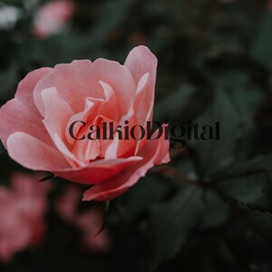Moody Floral - Digital Print Download